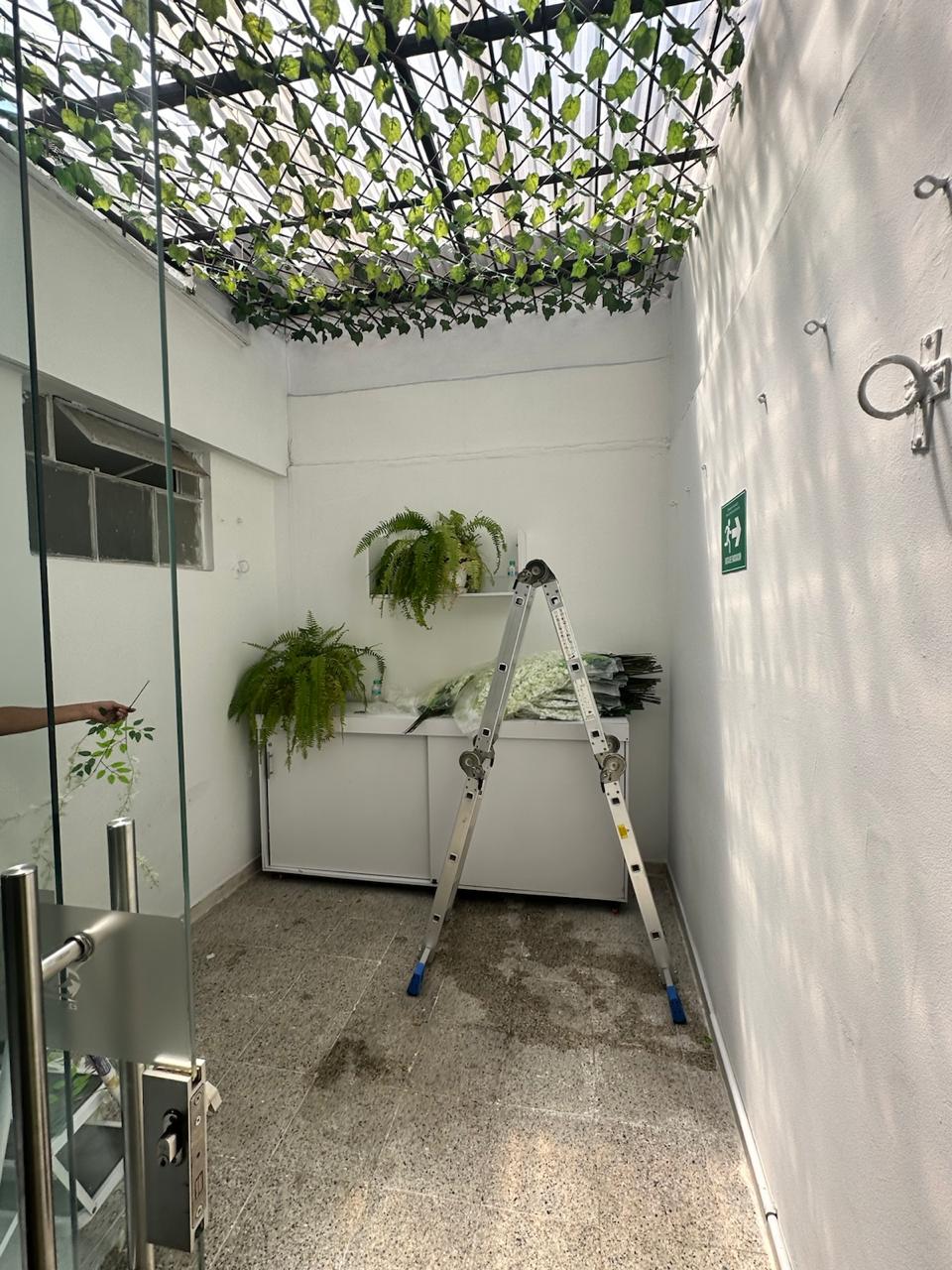 techo de solo wisterias p27