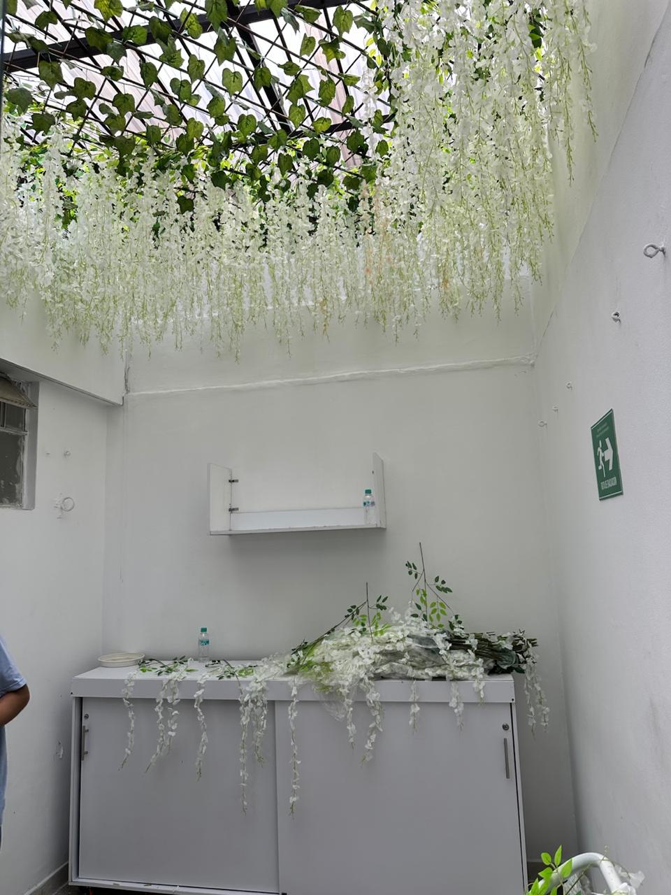 techo de solo wisterias p27