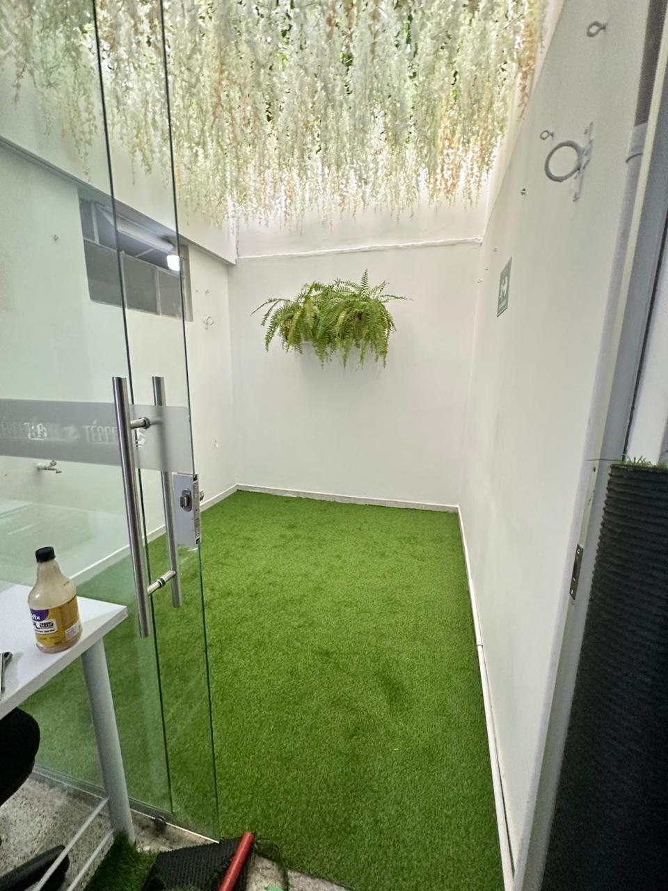 techo de solo wisterias p27