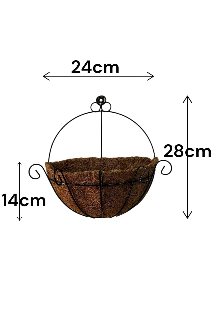 Matera Colgante de Coco para Pared 28cm