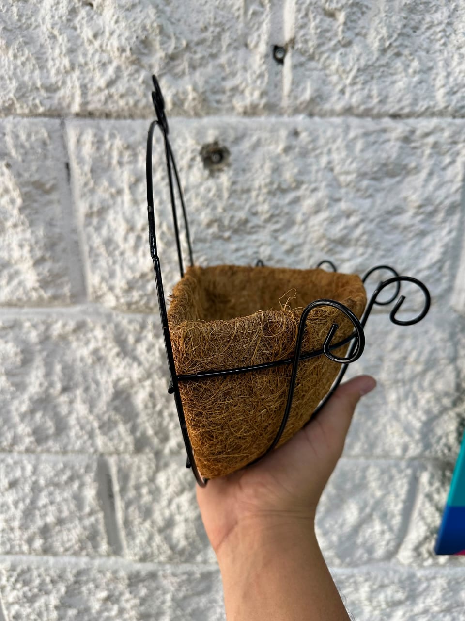 Matera Colgante de Coco para Pared 28cm