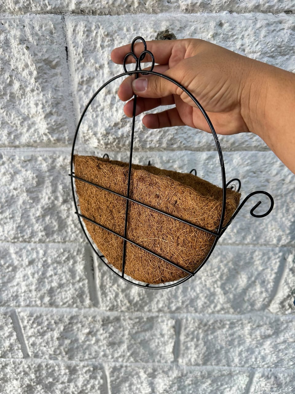 Matera Colgante de Coco para Pared 28cm