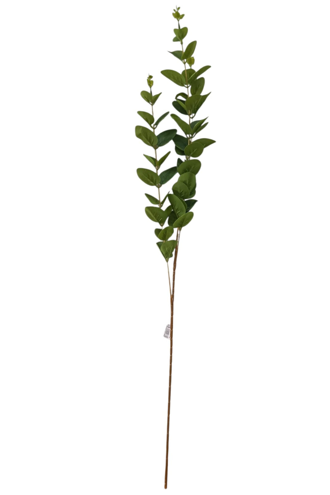 Rama Eucalipto Artificial Larga 78cm