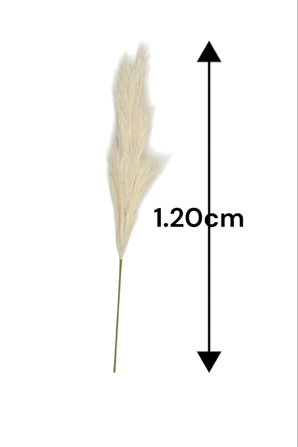 Pampa Artificial Mediana Beige 1.20cm