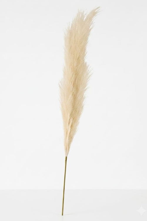 Pampa Artificial Mediana Beige 1.20cm