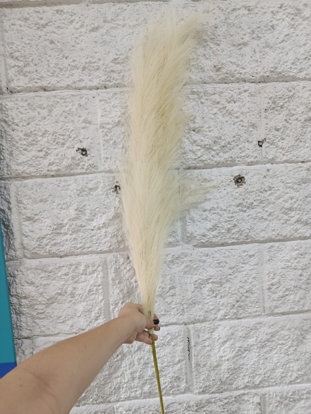 Pampa Artificial Mediana Beige 1.20cm