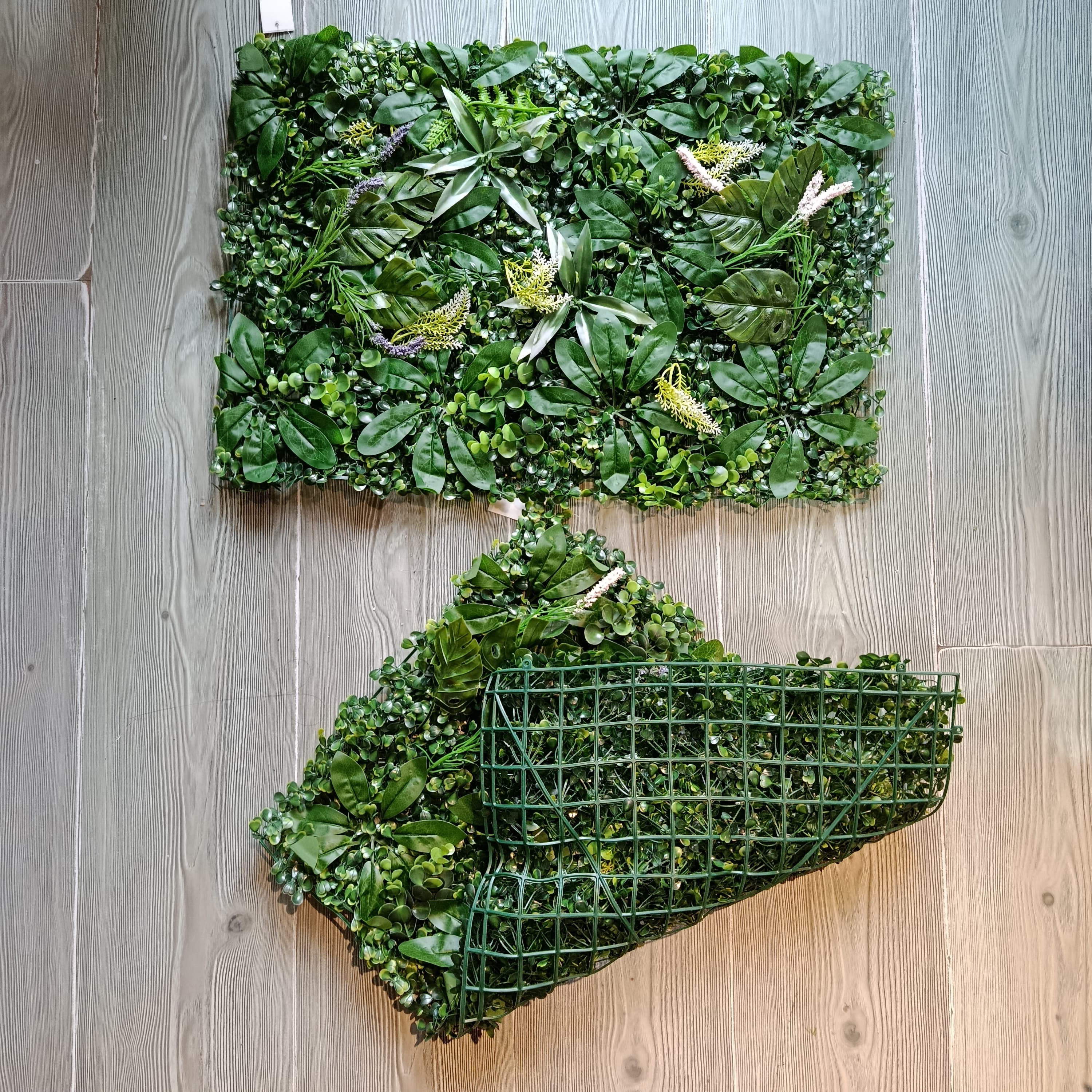 Jardín Vertical 60x40 Aralia y Lavanda