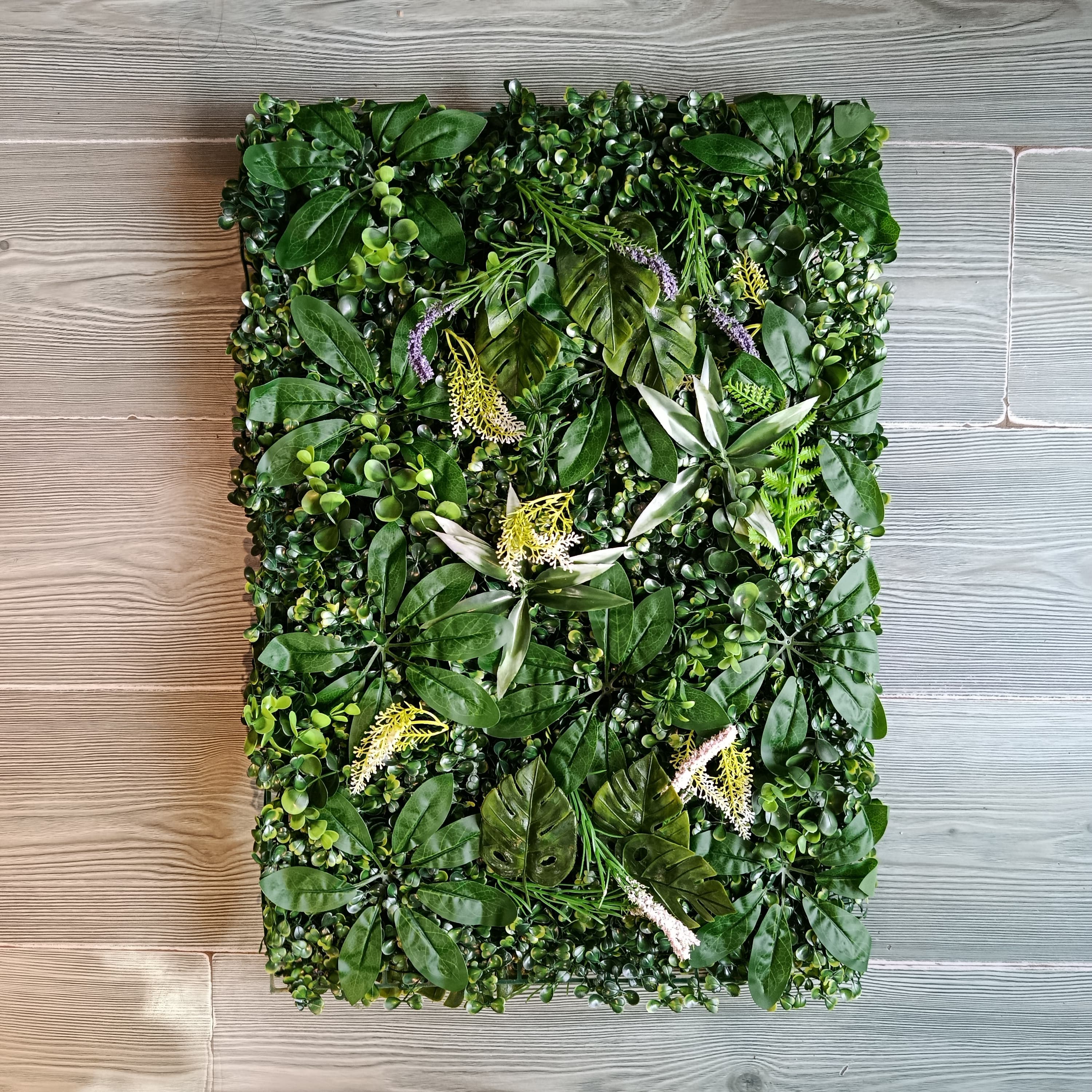 Jardín Vertical 60x40 Aralia y Lavanda