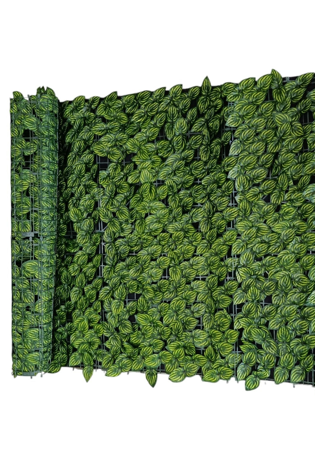 Malla de Hojas Sandia Enrollable 3x1 Metros