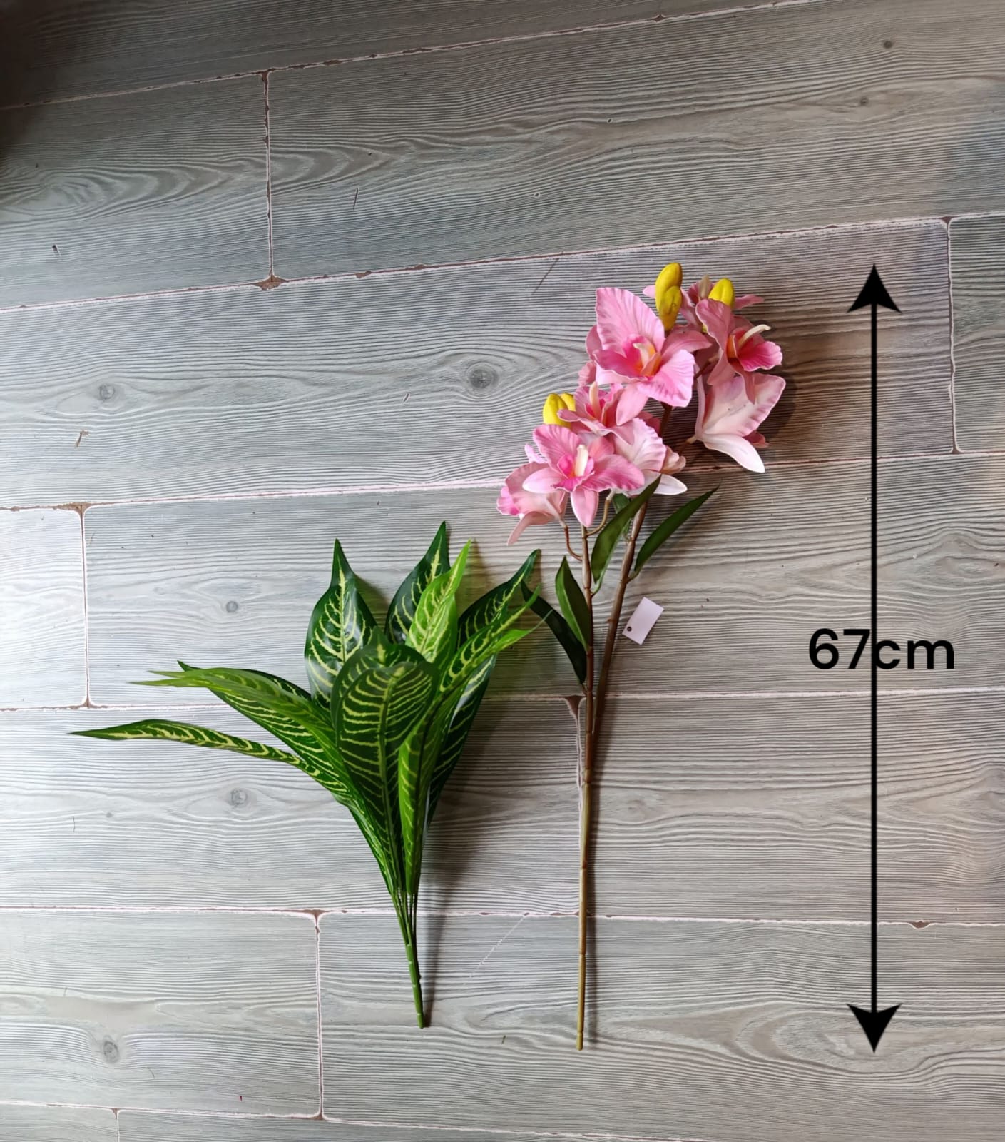 Planta Dracaena con Catleya Rosa 67cm