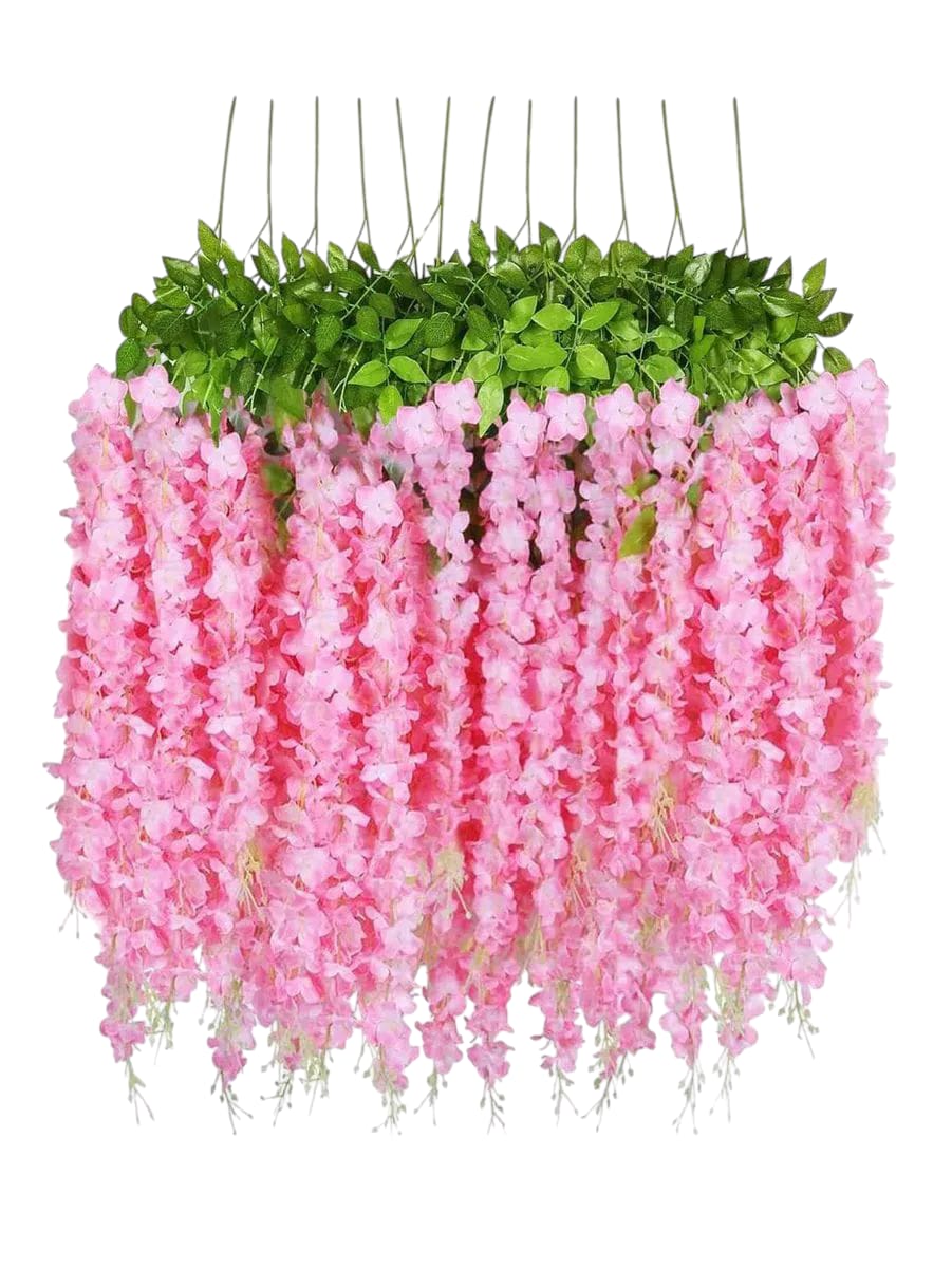 Docena de Glicina Wisteria Fucsia 80cm