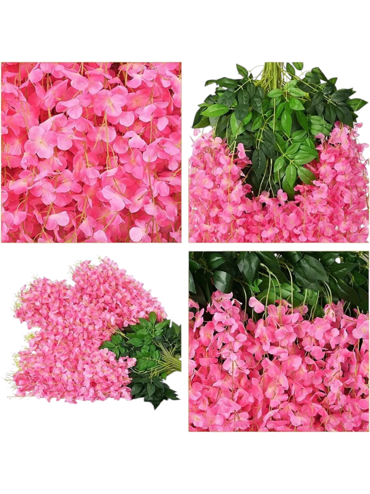 Docena de Glicina Wisteria Fucsia 80cm