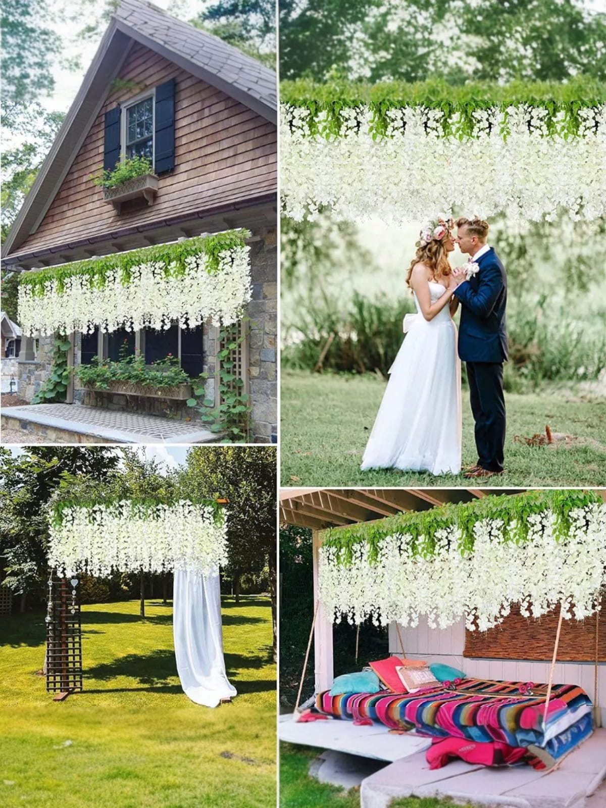 Docena de Glicina Wisteria Blanca 80cm