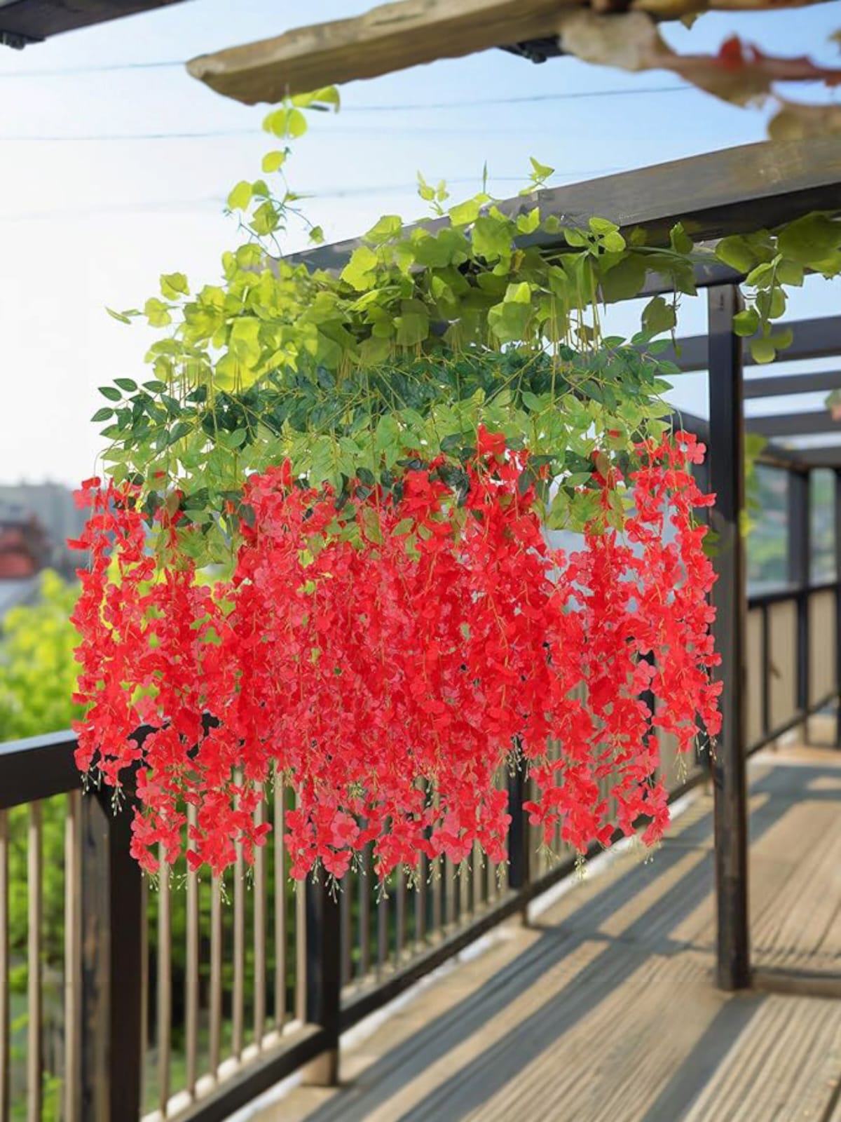 Docena de Glicinia Wisteria Roja 80cm