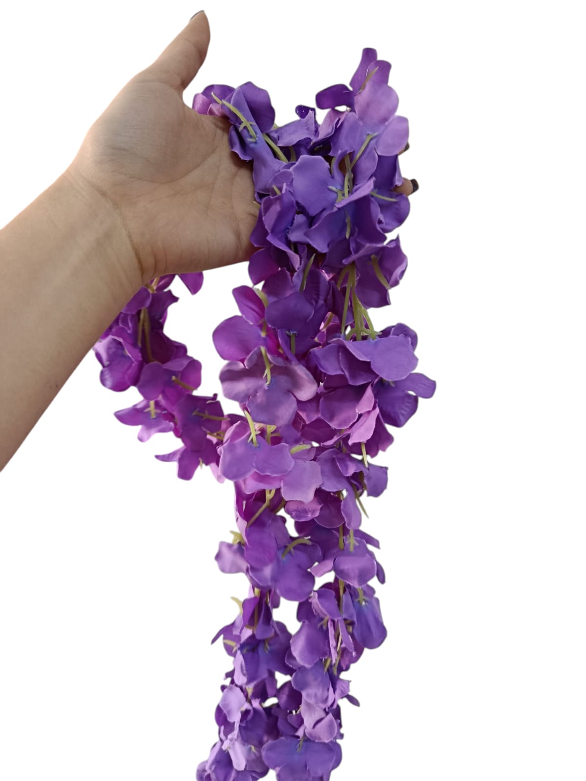 Enredadera Sencilla de Flores 2mts