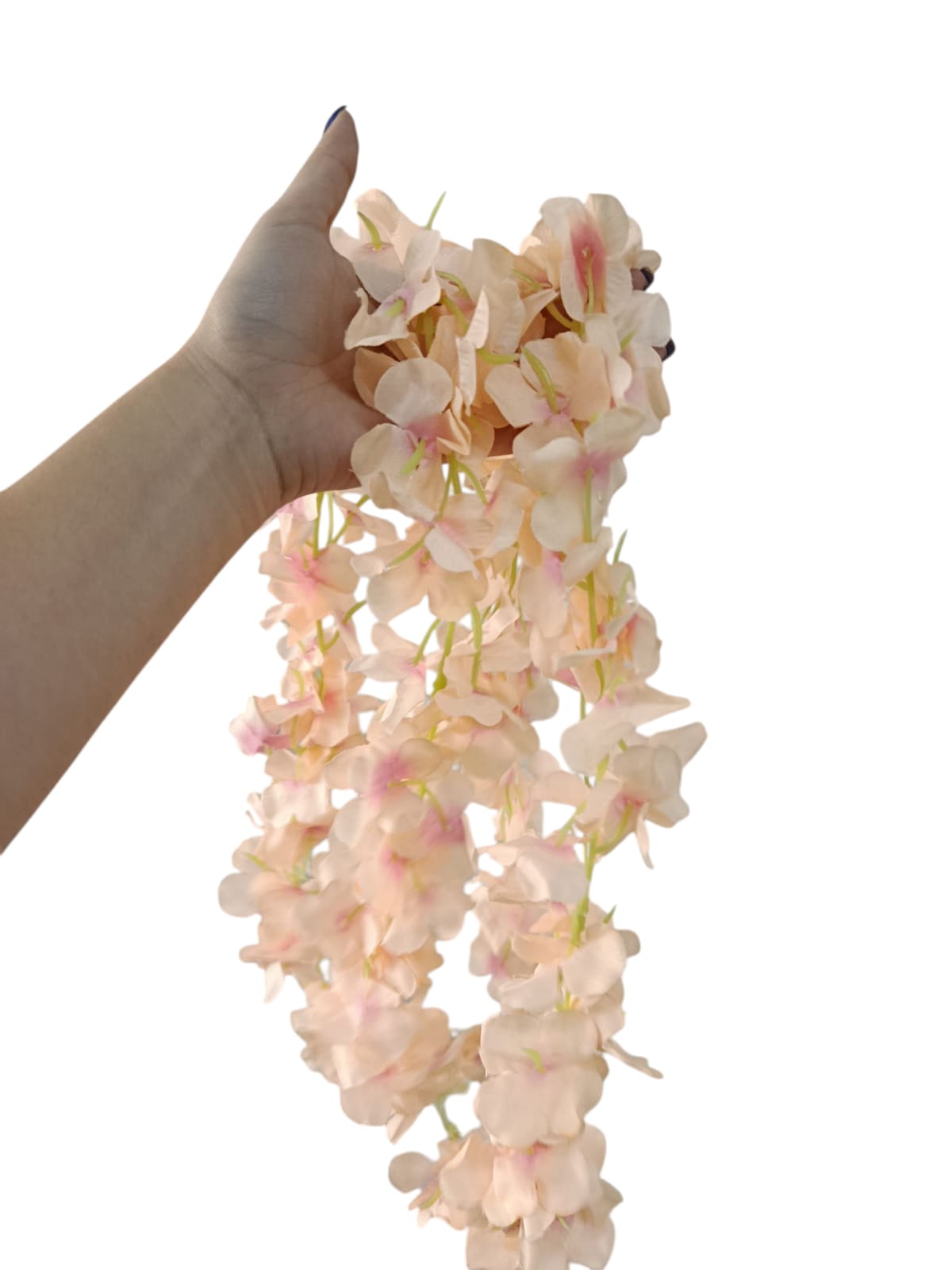 Enredadera Sencilla de Flores 2mts