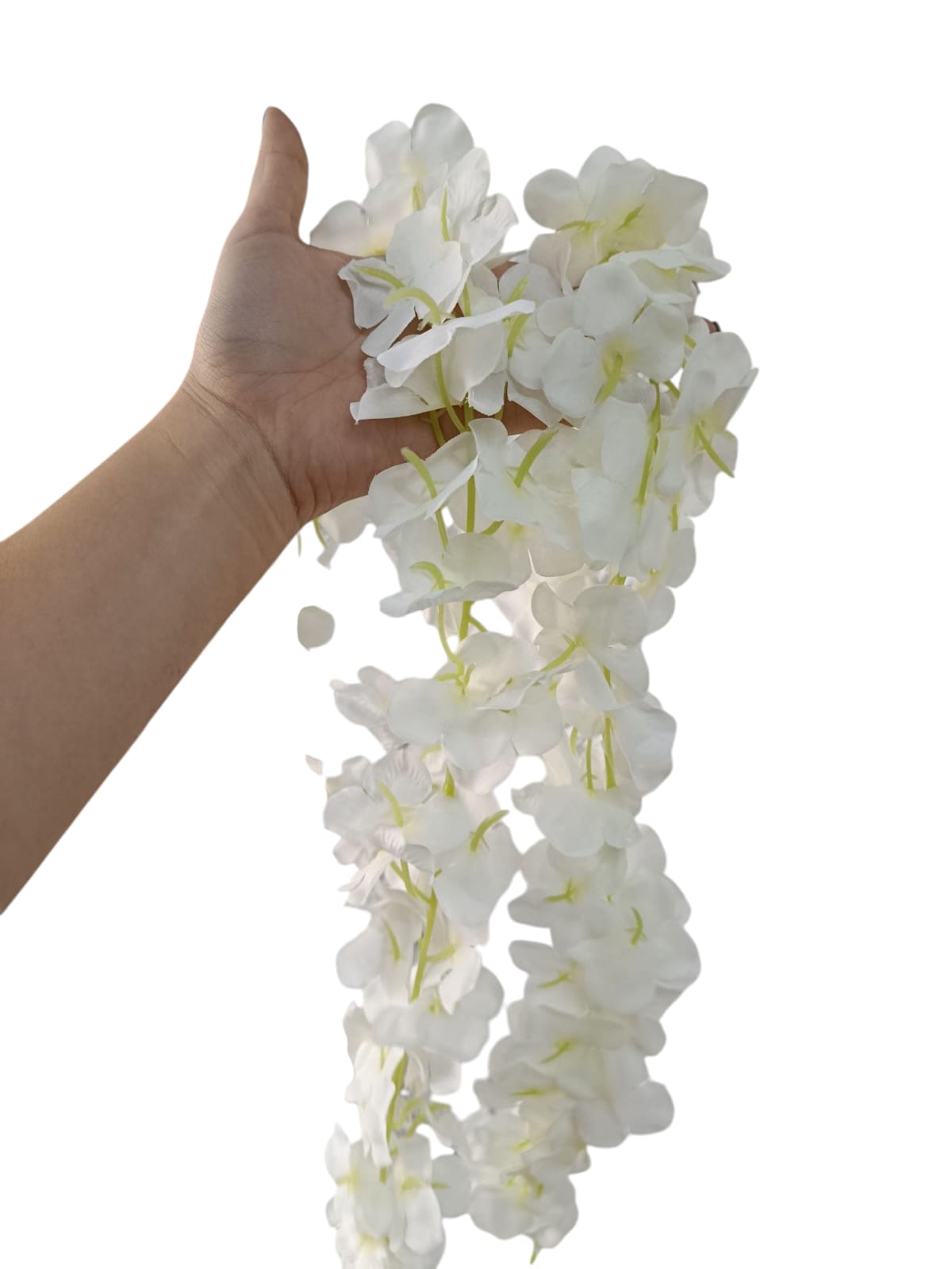 Enredadera Sencilla de Flores 2mts