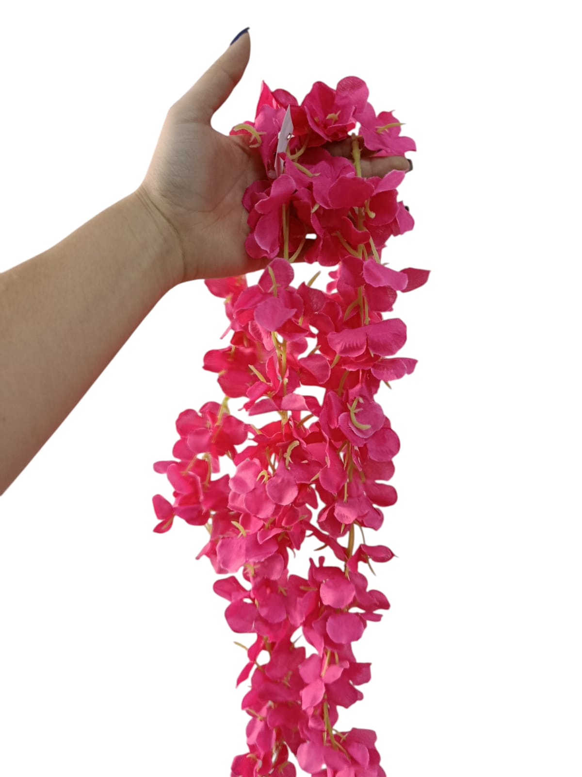 Enredadera Sencilla de Flores 2mts