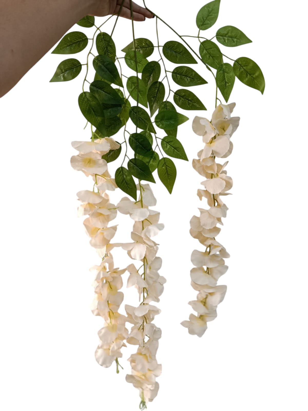 Wisteria Premium xUnidad Variedad Colores 1mts