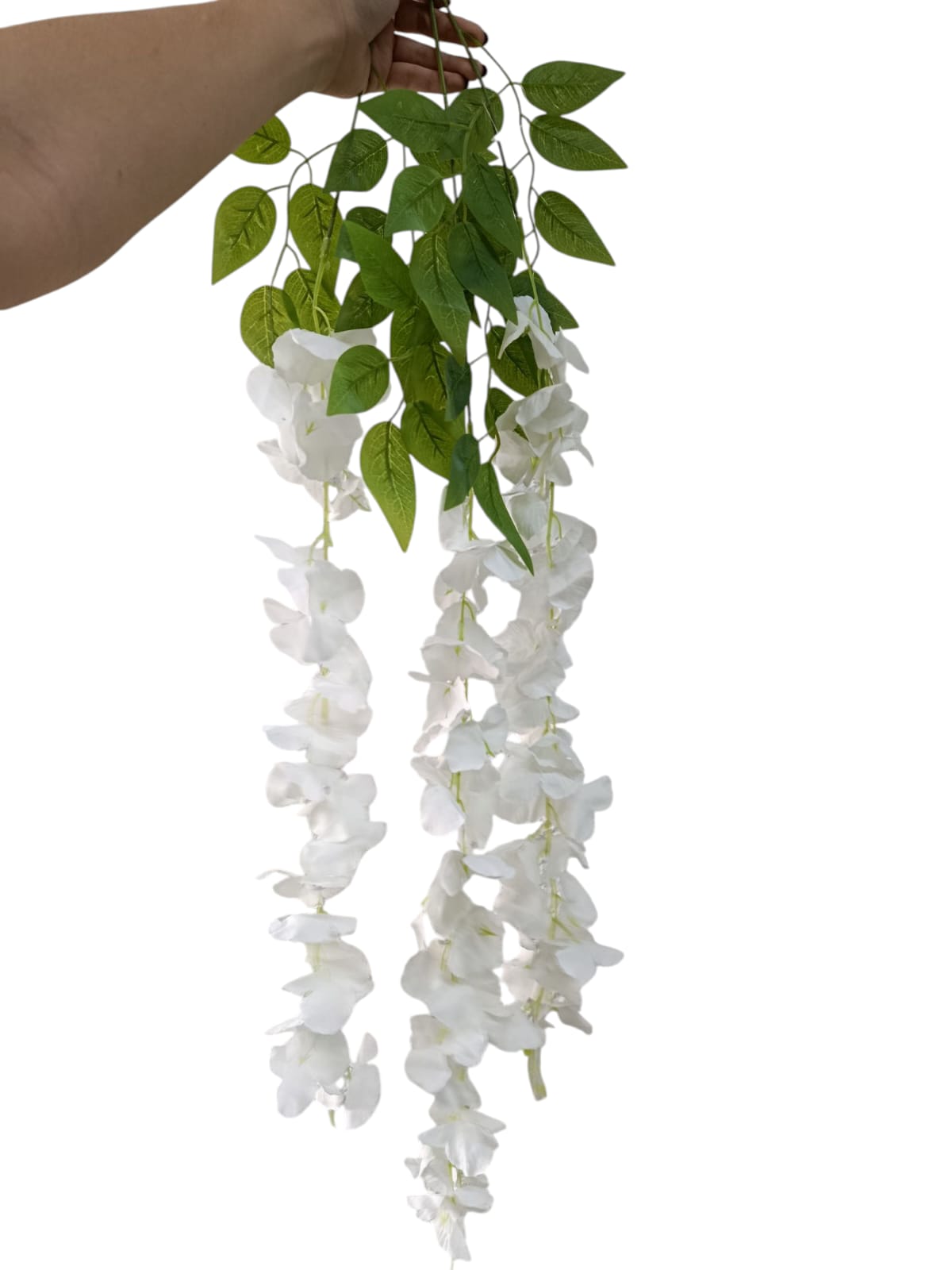 Wisteria Premium xUnidad Variedad Colores 1mts