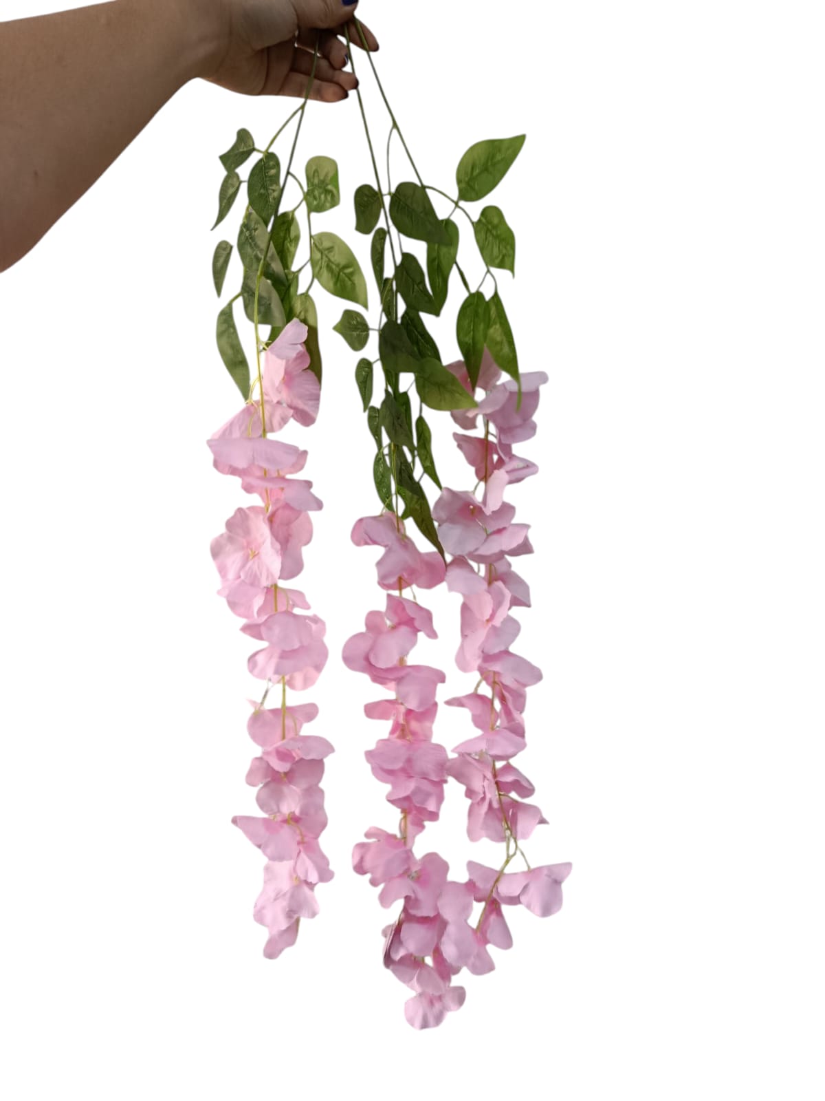 Wisteria Premium xUnidad Variedad Colores 1mts