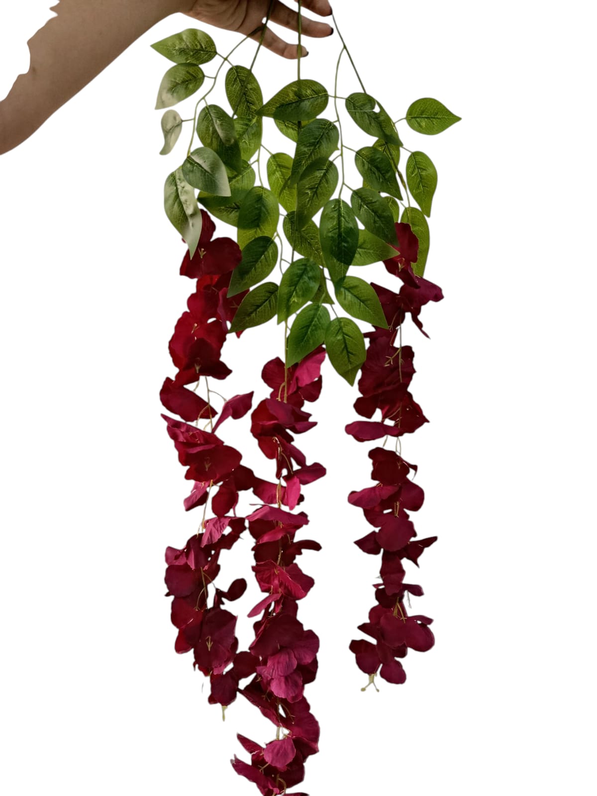 Wisteria Premium xUnidad Variedad Colores 1mts