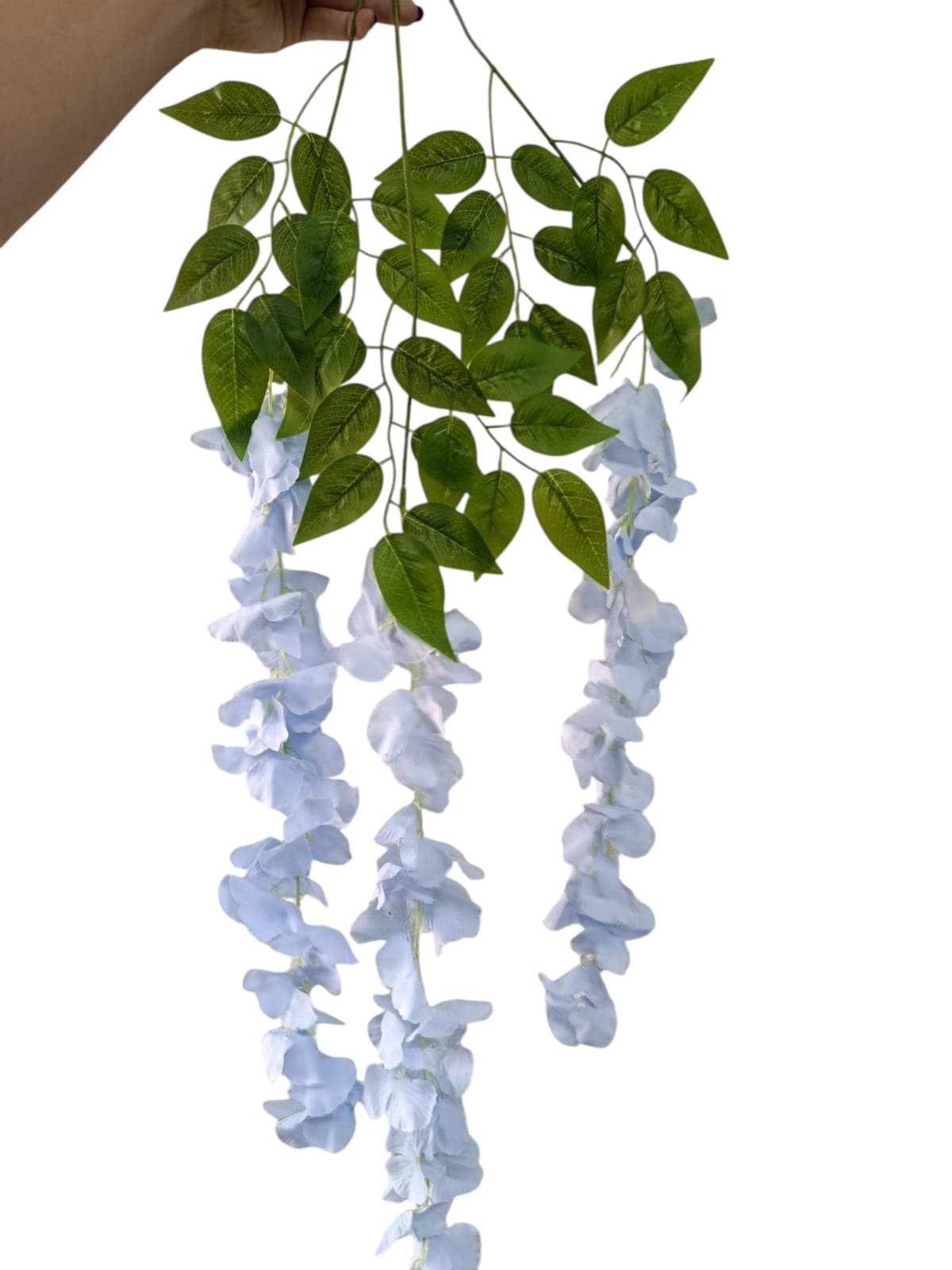 Wisteria Premium xUnidad Variedad Colores 1mts