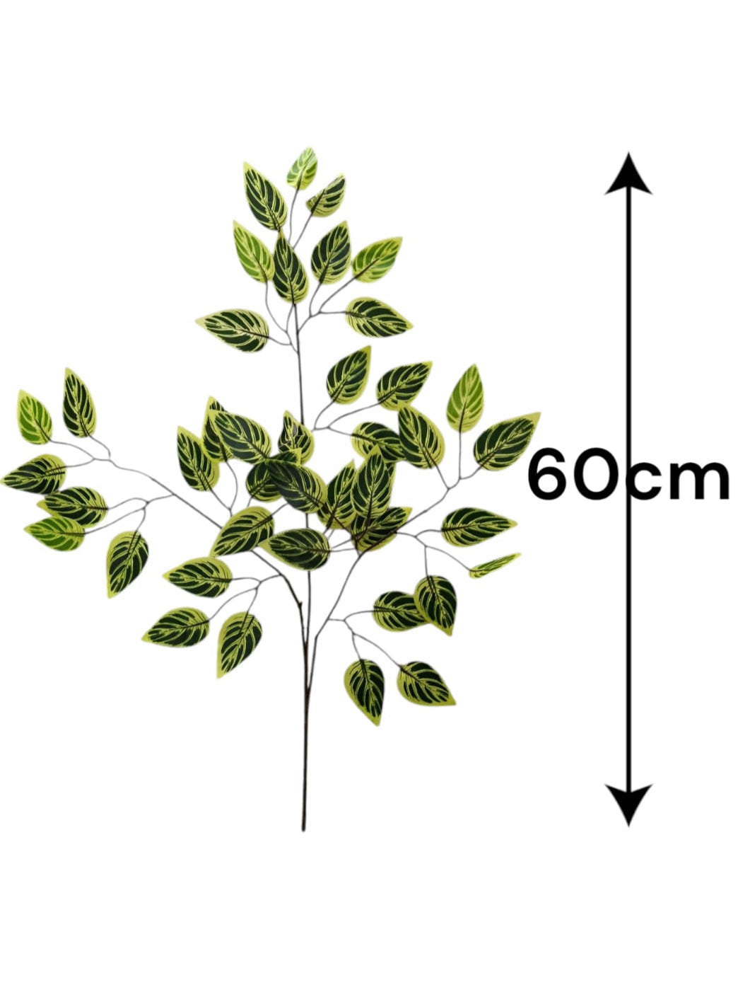 Rama Artificial de Calathea Menuda 60cm