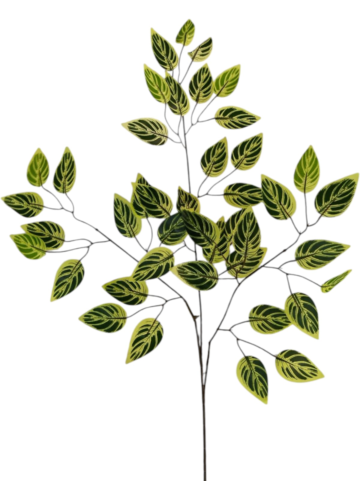 Rama Artificial de Calathea Menuda 60cm