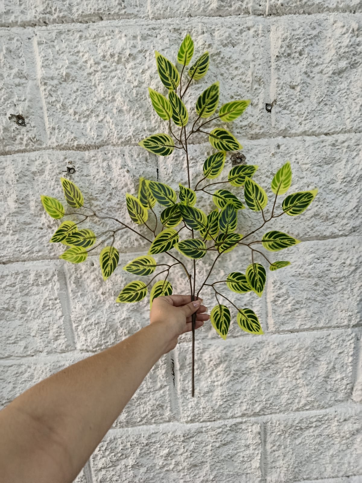 Rama Artificial de Calathea Menuda 60cm