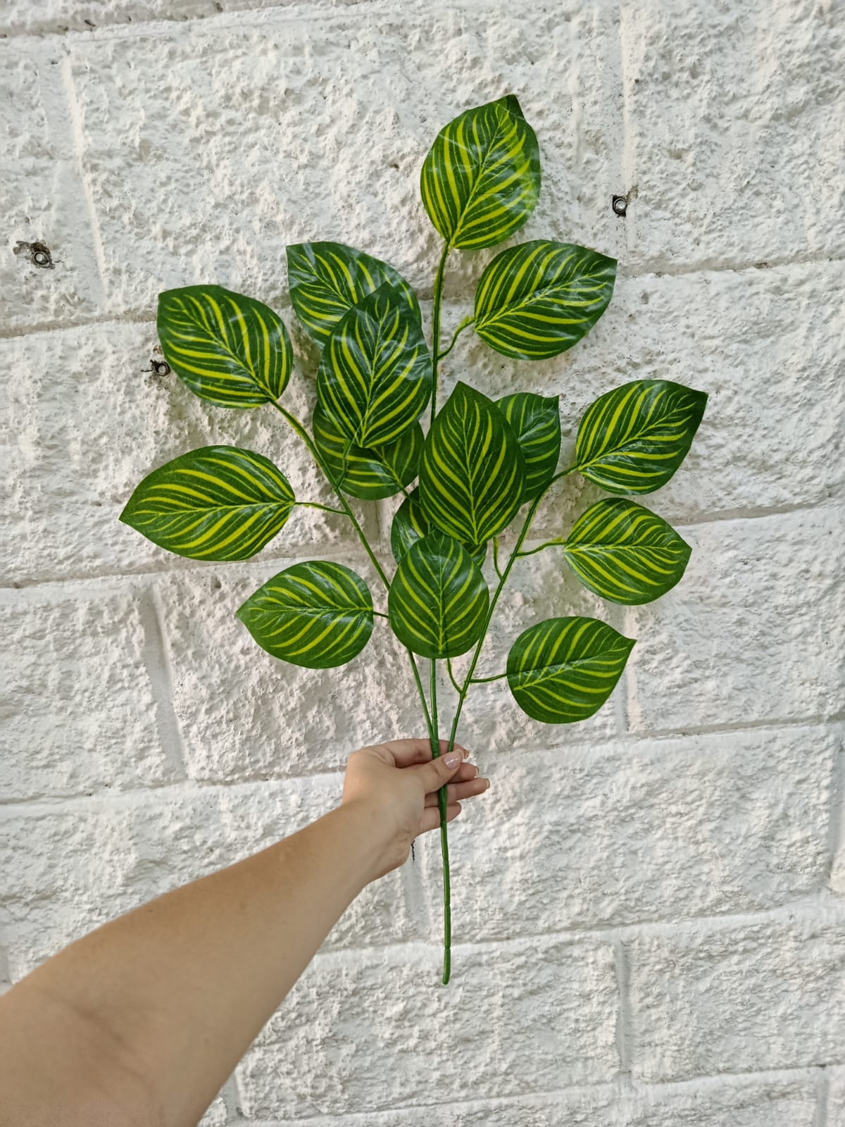 Rama Artificial Hojas de Makoyana Rayadas 65cm