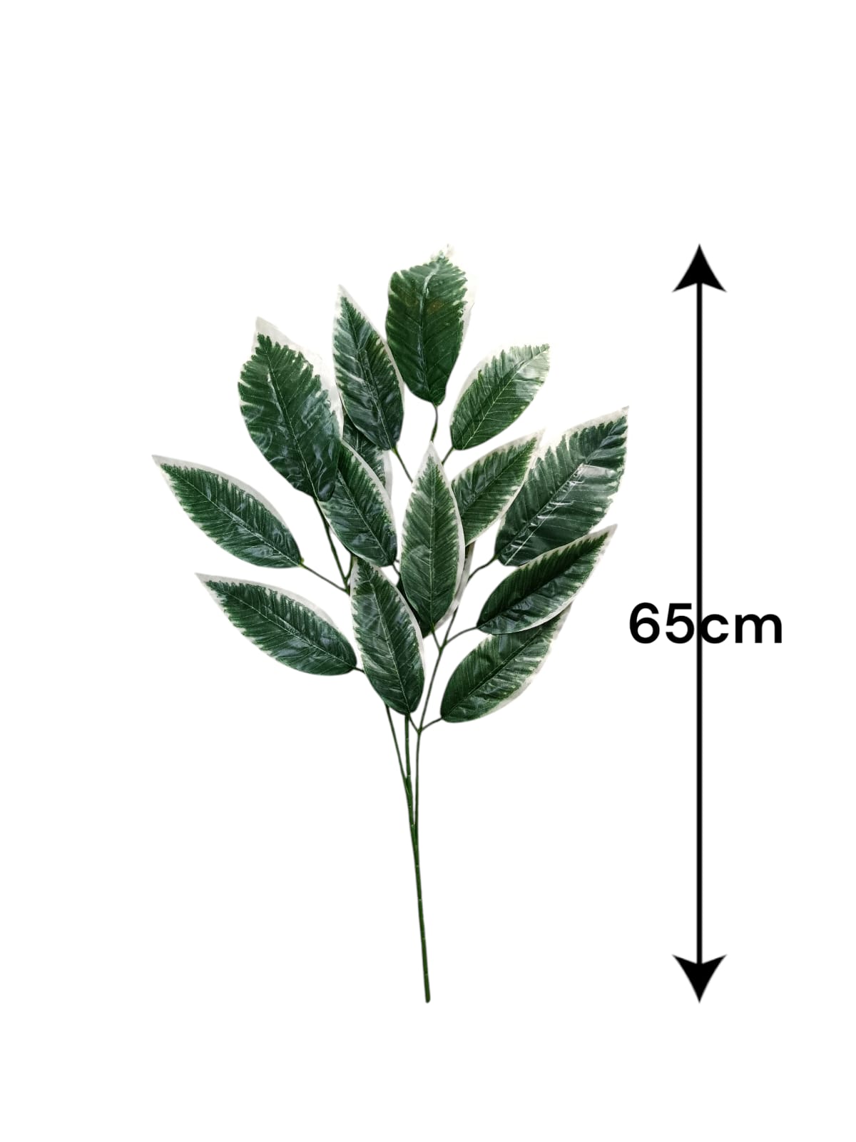 Ramo Artificial Hojas Borde Blanco 65cm