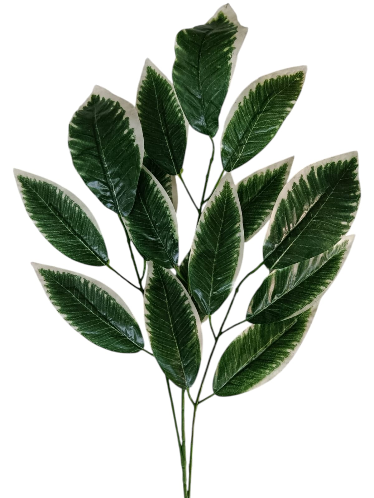 Ramo Artificial Hojas Borde Blanco 65cm