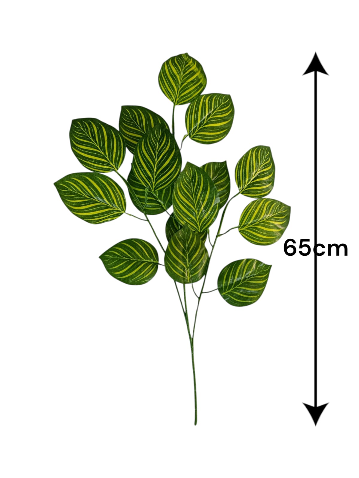 Rama Artificial Hojas de Makoyana Rayadas 65cm