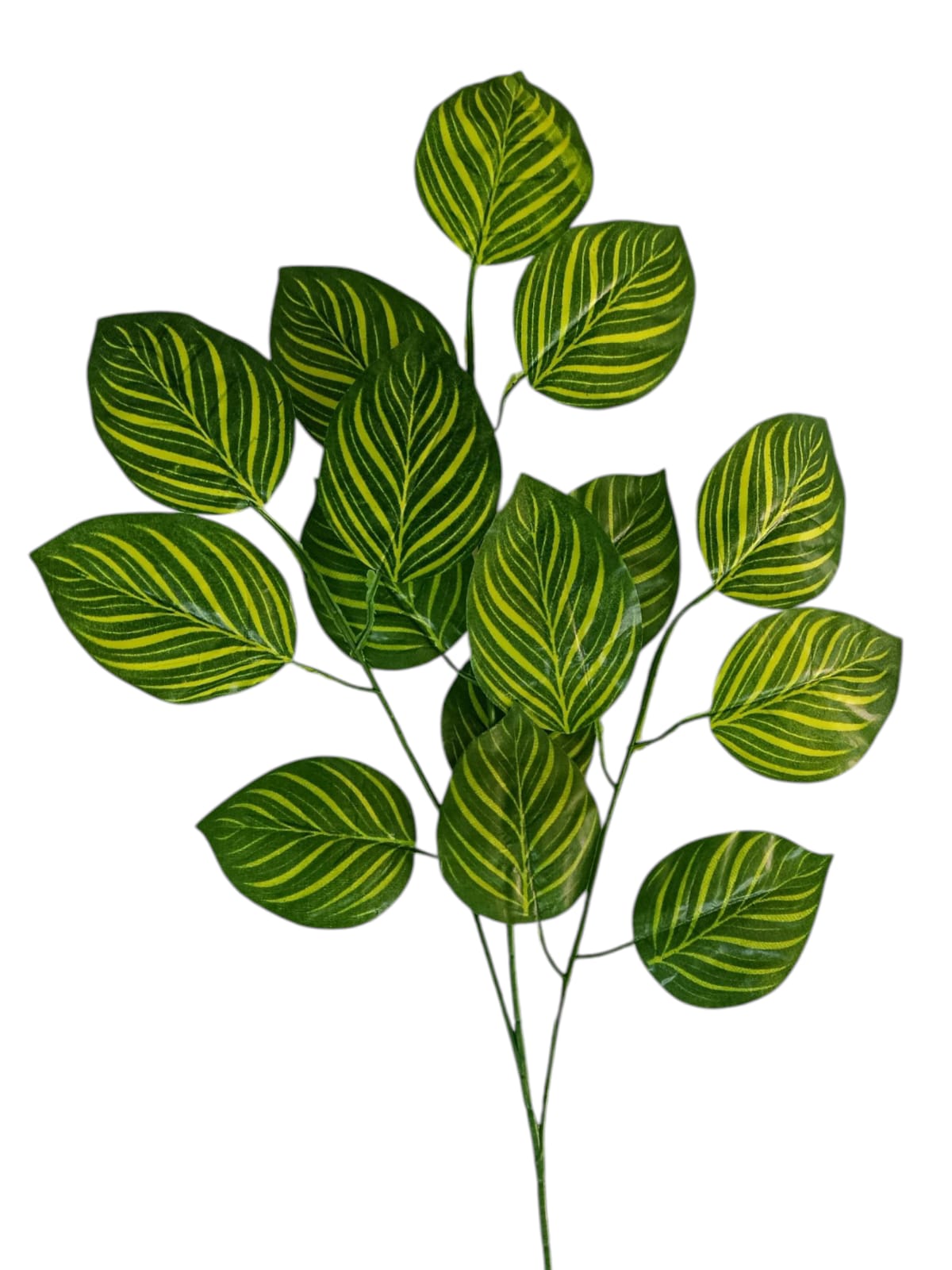 Rama Artificial Hojas de Makoyana Rayadas 65cm