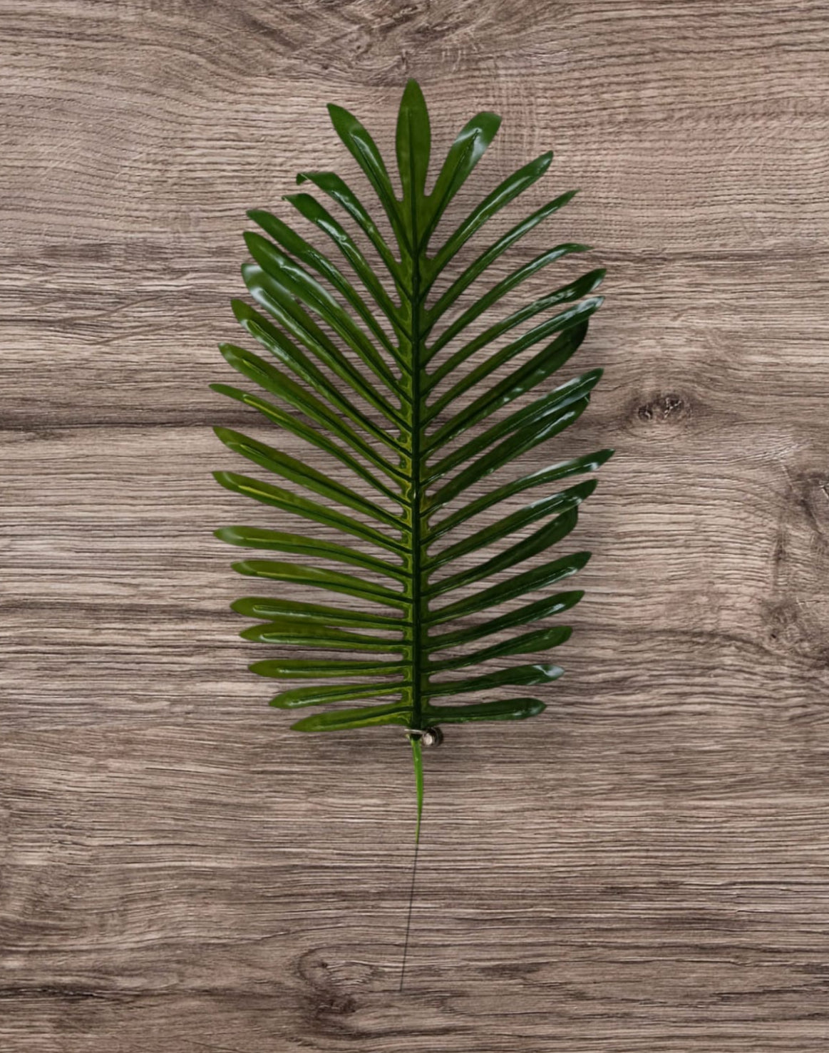 Hoja de Palmera Artificial 50cm