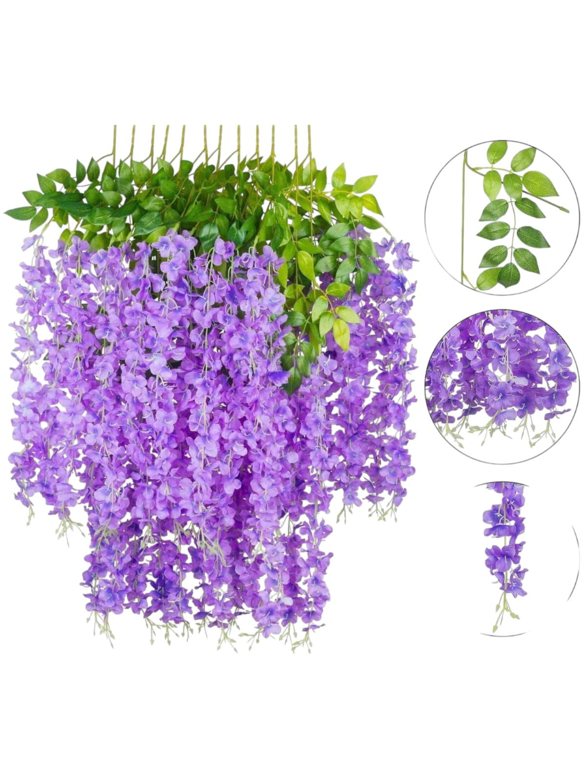 Docena de Wisteria Glicina Lila 80cm