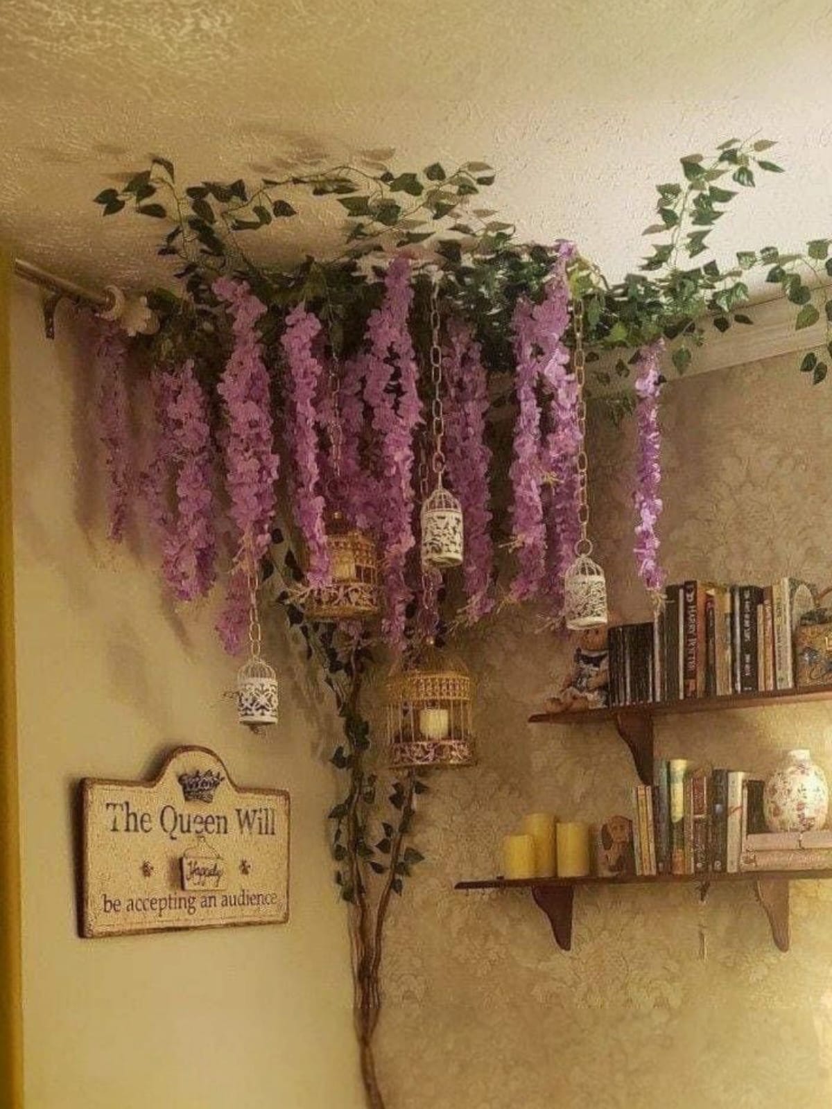 Docena de Wisteria Glicina Lila 80cm