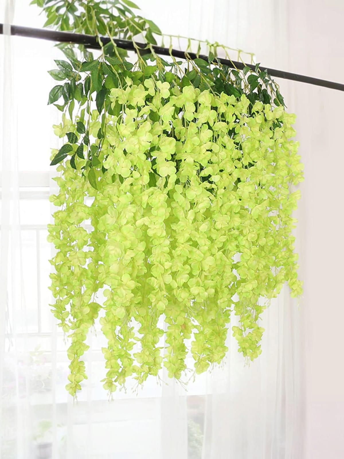 Docena de Glicina Wisteria Verde 80cm