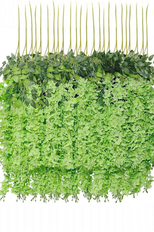 Docena de Glicina Wisteria Verde 80cm