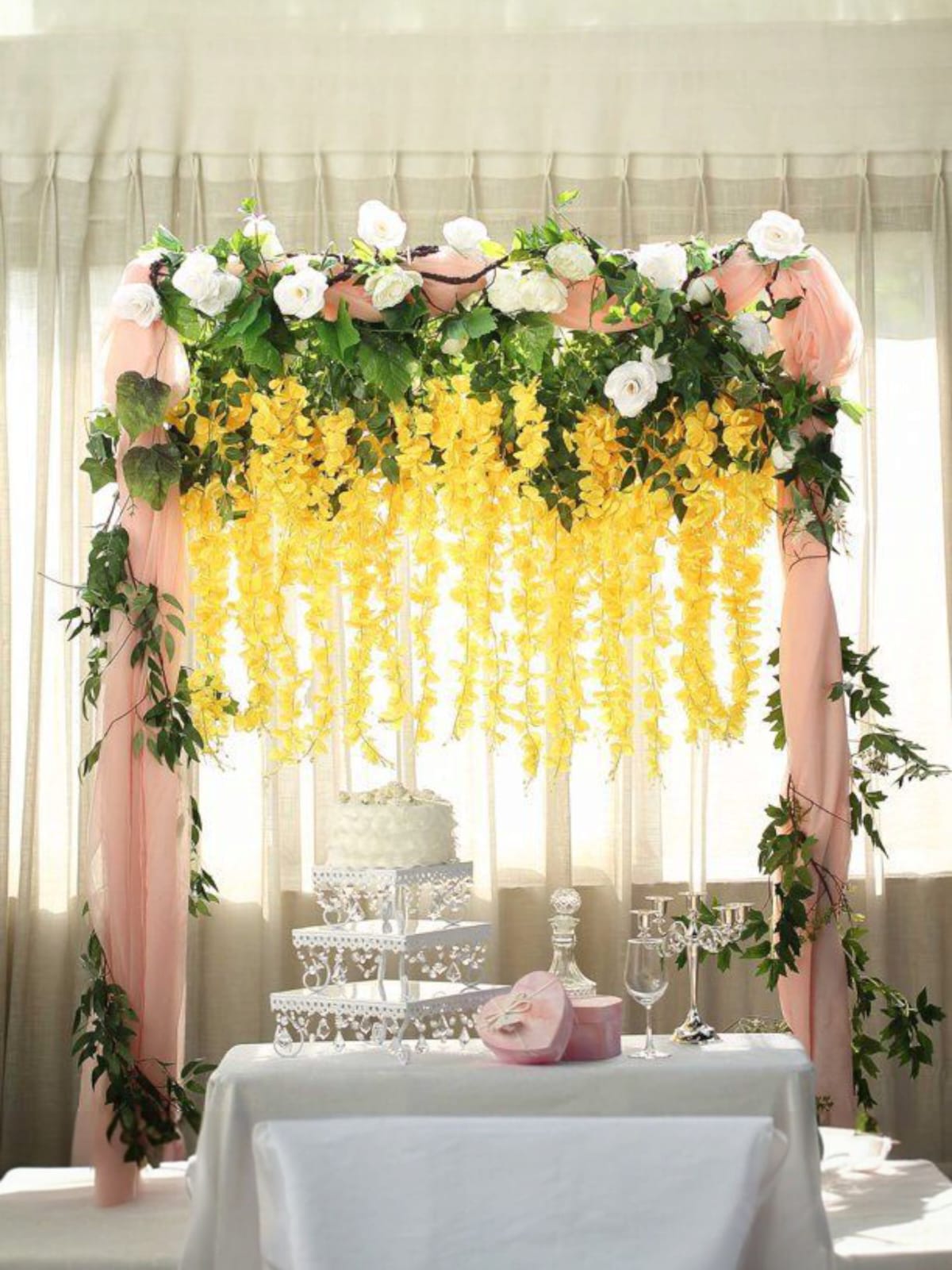 Docena de Glicina Wisteria Amarilla 80cm