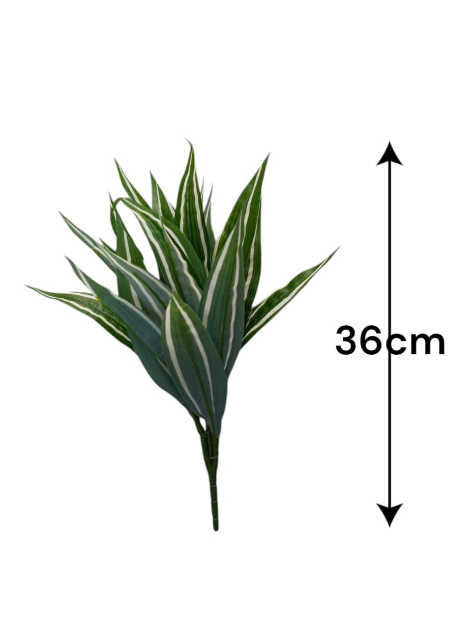 Rama de Follaje Dracaena Premium 36cm