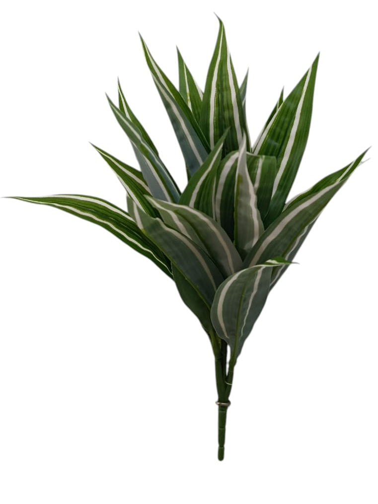 Rama de Follaje Dracaena Premium 36cm