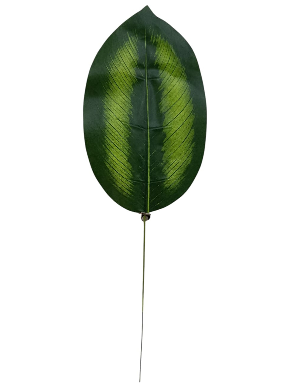 Hoja Dieffenbachia Maculata Artificial 43cm