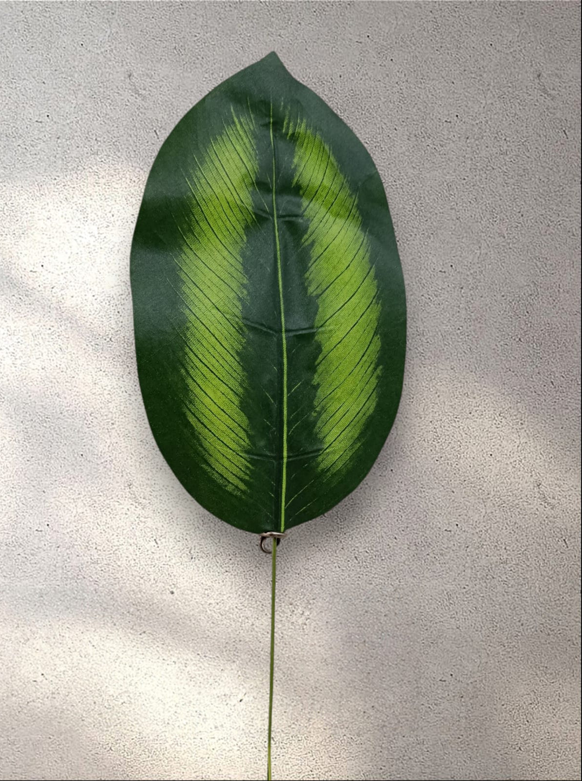 Hoja Dieffenbachia Maculata Artificial 43cm