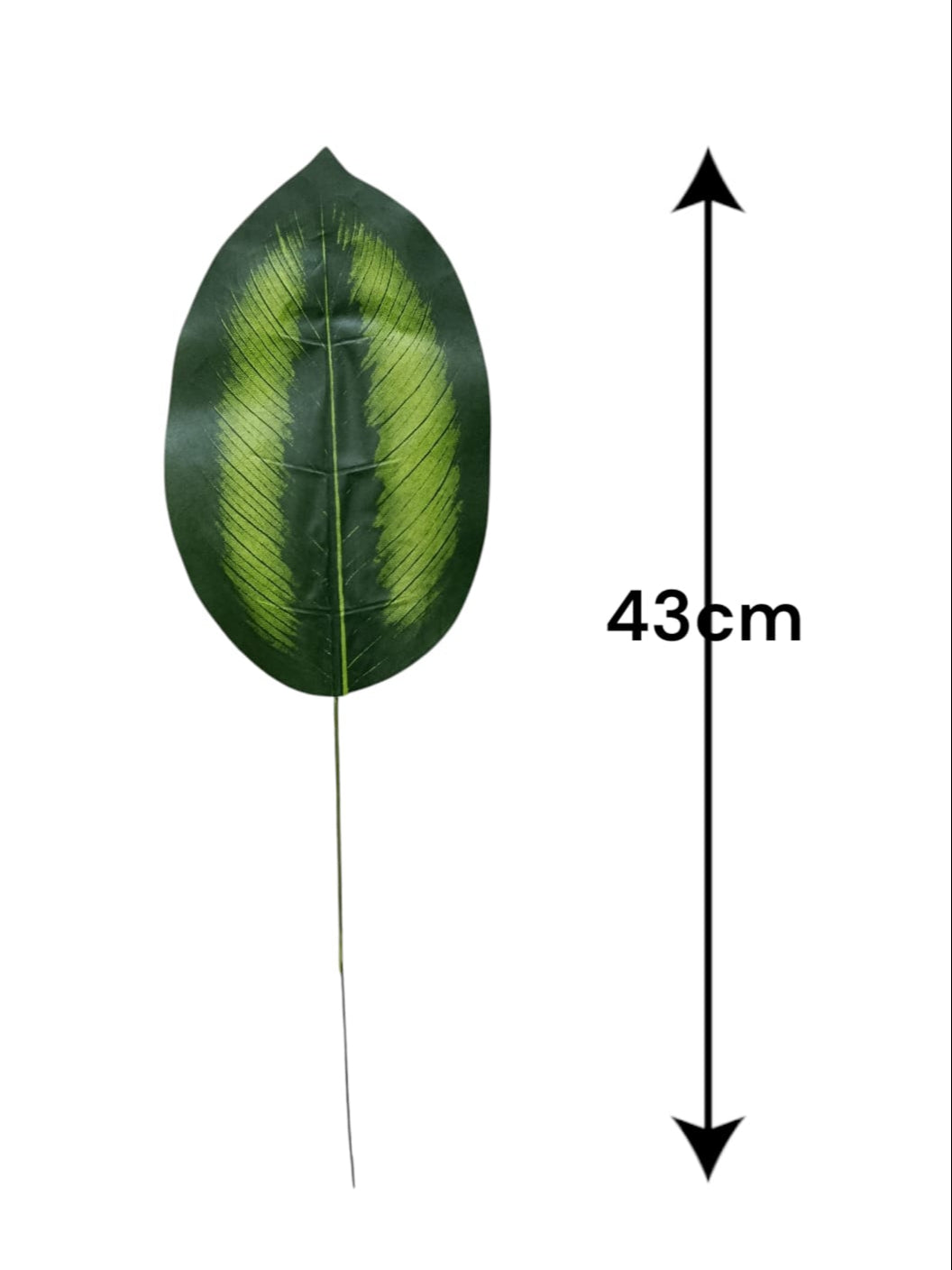Hoja Dieffenbachia Maculata Artificial 43cm