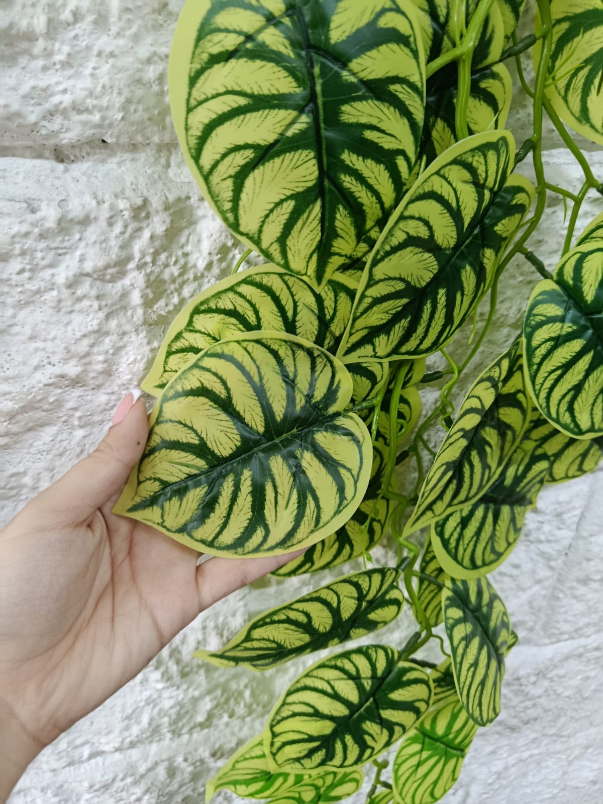Rama Colgante Beteada Estilo Peperomia Melancia 90cm