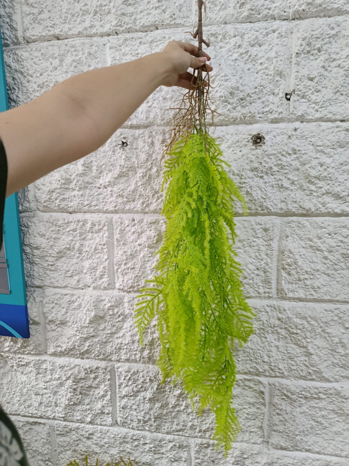 Colgante Helecho Tipo Musgo Premium 97cm