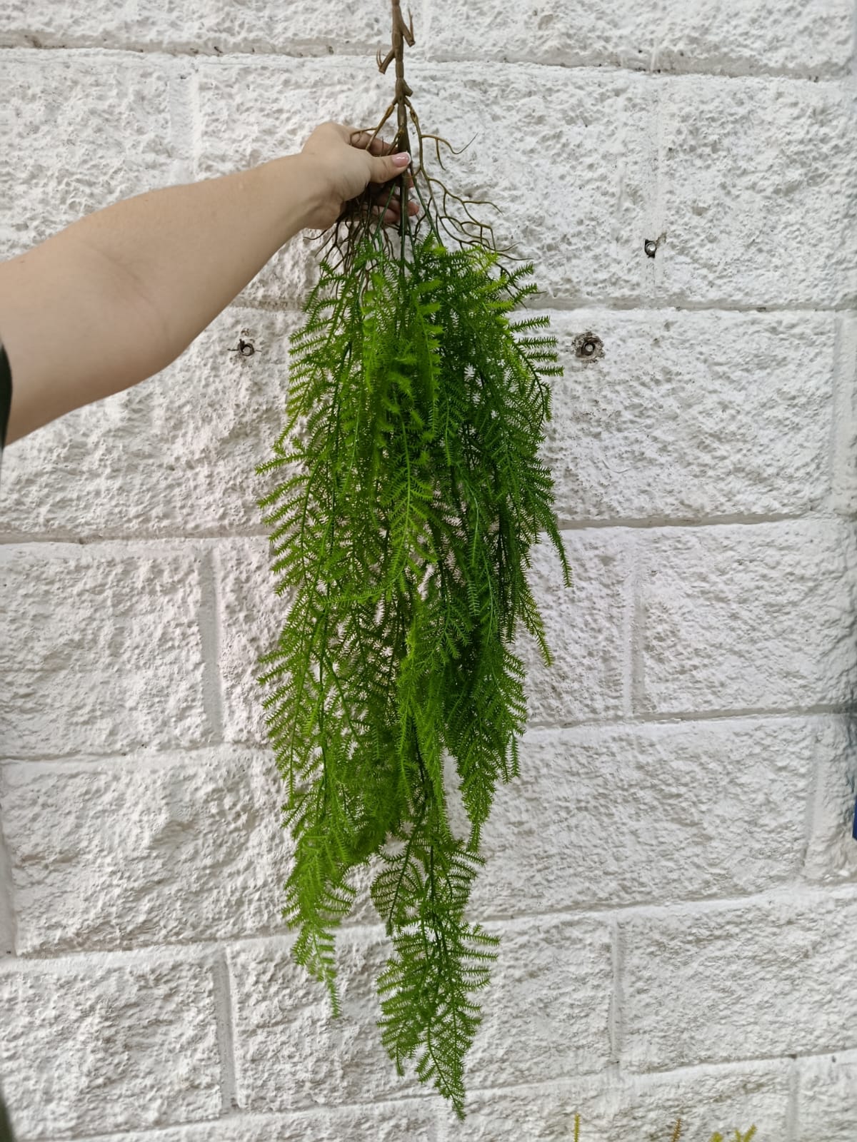 Colgante Helecho Tipo Musgo Premium 97cm