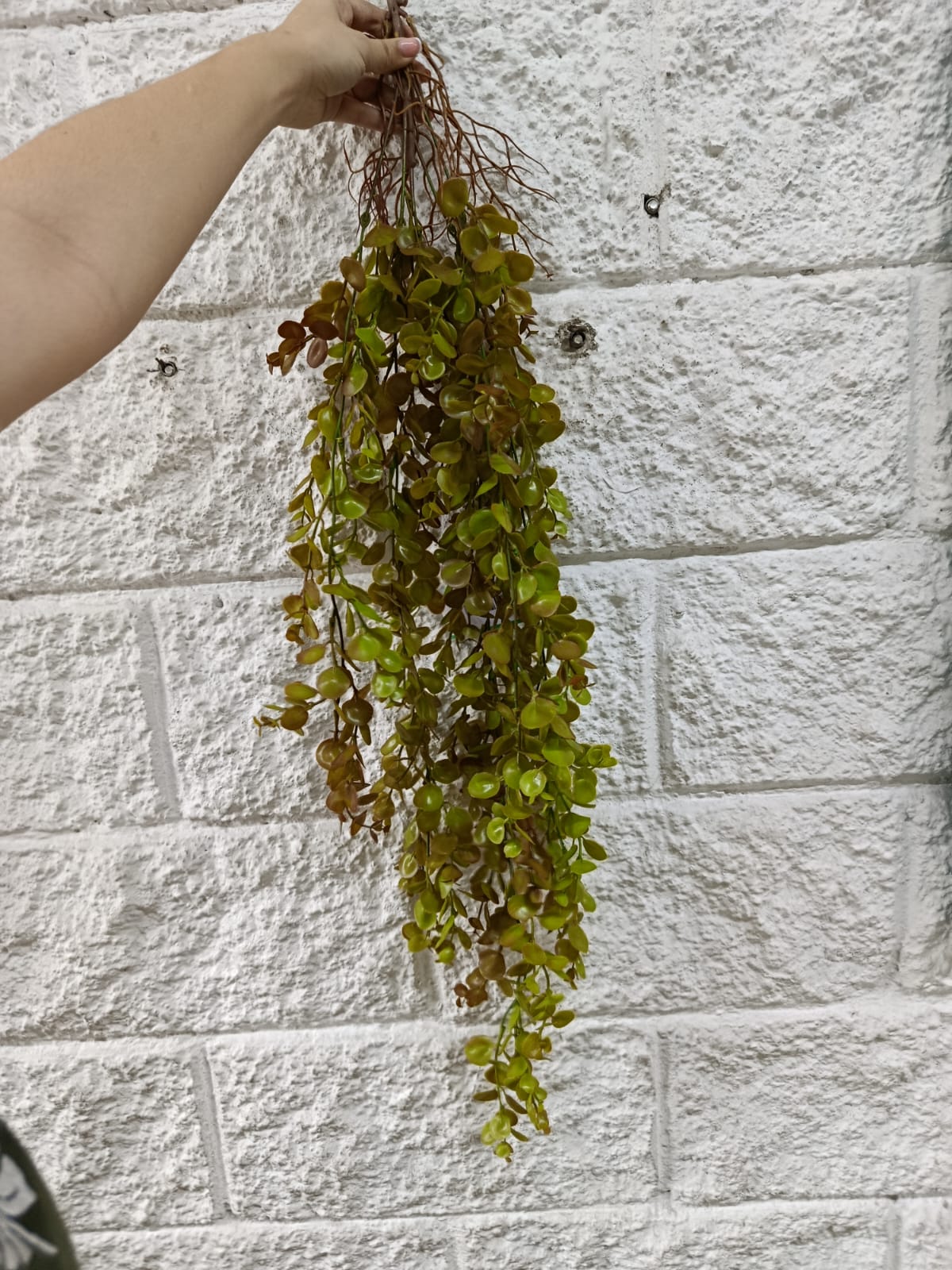 Colgante Eucalipto Premium 1mts